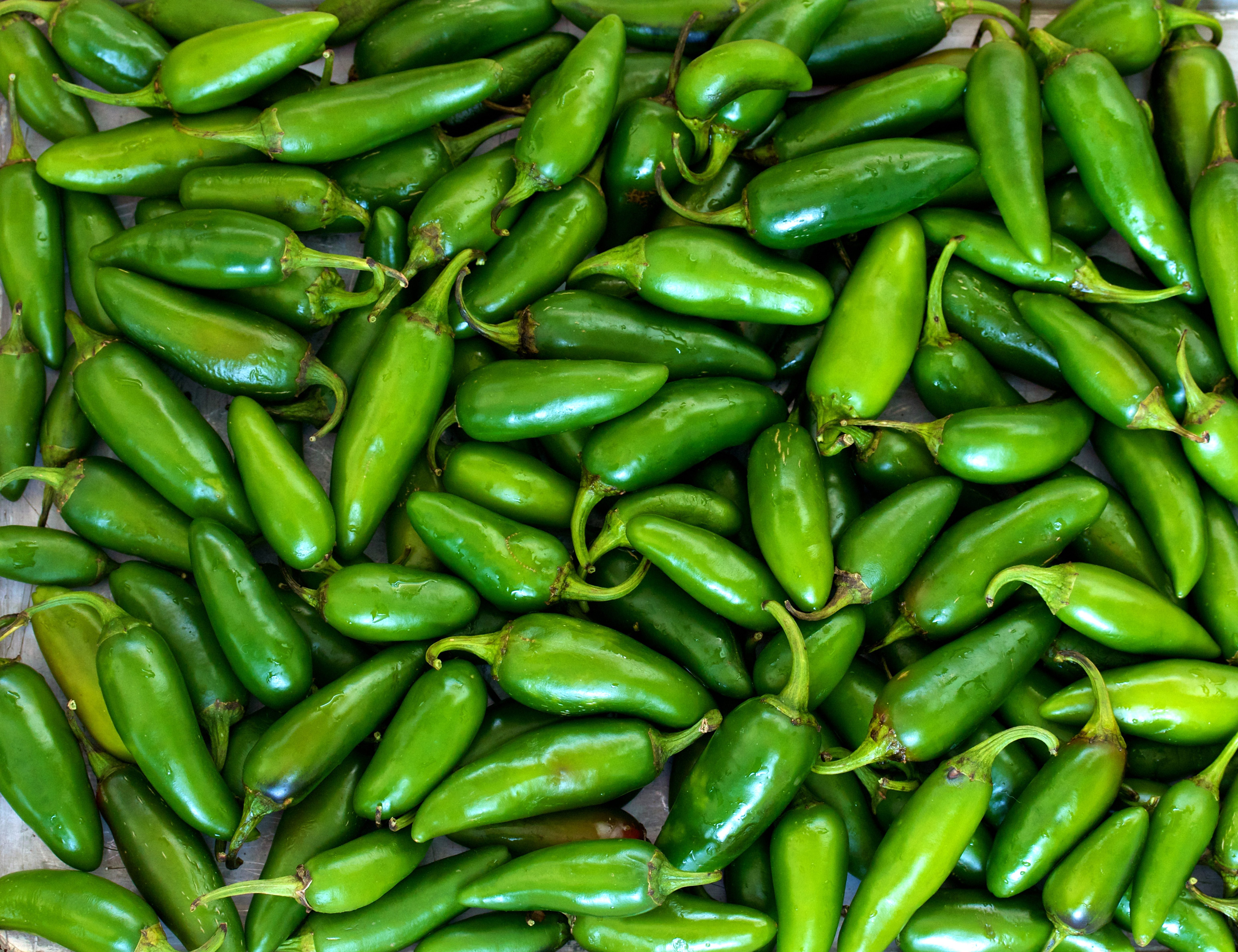 Jalapeno Pepper Basics Growing Jalapenos 101 Grow Hot Peppers