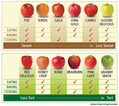 types of apple chart